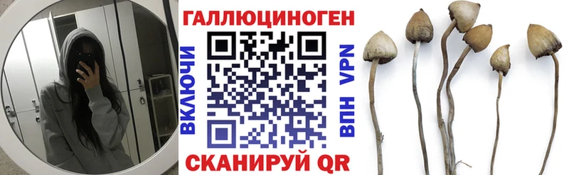 Купить  Трёхгорный  Псилоцибиновые грибы прущие грибы 