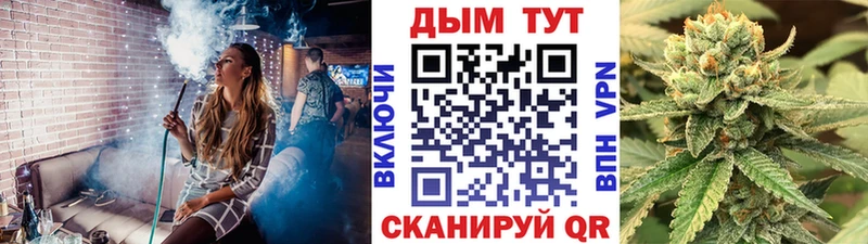 МАРИХУАНА сатива Трёхгорный